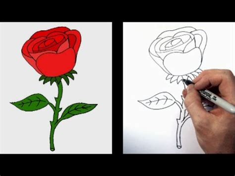 How to Draw a Cartoon Rose - YouTube