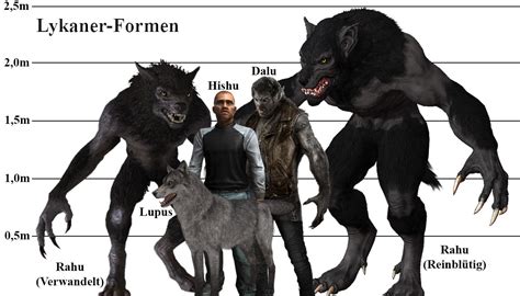 Lycan/Werewolf Forms with bitten (l.) and pure blooded born (r.) Warform. | Werewolf drawing ...