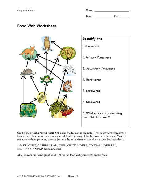 Food Chain Worksheet Pdf – Imsyaf.com