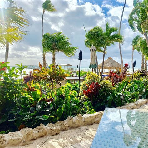 The Spa at Cheeca Lodge (Islamorada) - All You Need to Know BEFORE You Go - Updated 2021 ...