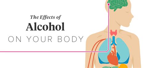 Alcohol's Effect On The Body You Need To Know