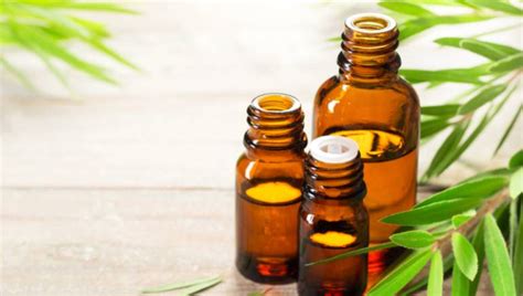 Tea tree oil for hair: 5 benefits of the essential oil you can't ignore | HealthShots