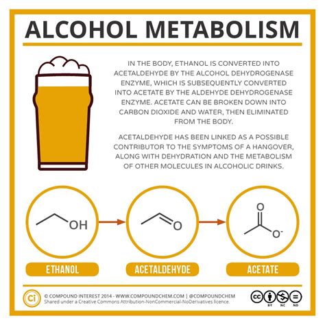 Alcohol metabolism | Profesor de química, Ciencias quimica, Bioquímica