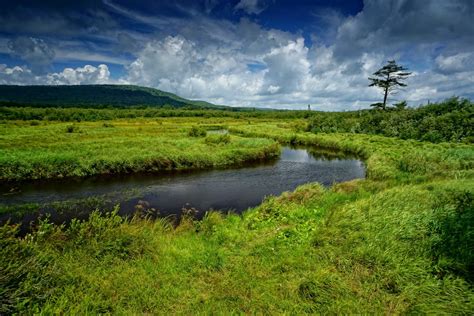 Discover West Virginia: Back to the Blackwater River Trail: Canaan Valley