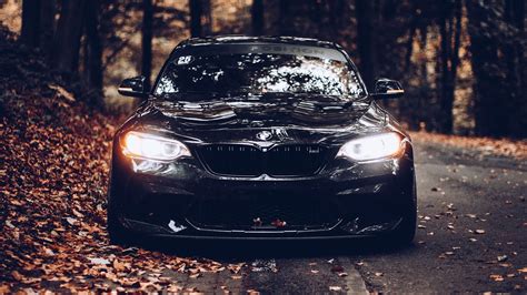 Autumn Leaves, BMW, Black Car, Front View