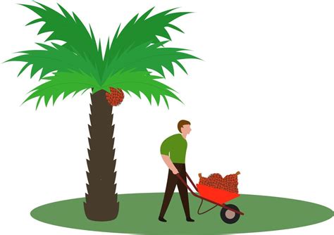 Coconut Farm Vector Art, Icons, and Graphics for Free Download