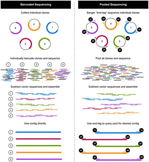 Overview of the two sequencing methods used in this study for ...