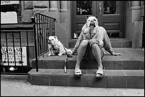 65 Brilliant Elliot Erwitt Quotes on Observation and Humor - Photogpedia