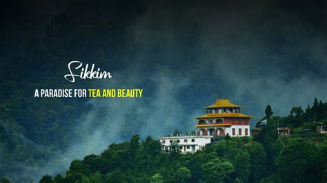 Sikkim Tour packages : Book Sikkim Tours and Holiday Packages | Tripoto