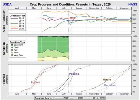 Peanut Market Report August 2020 | Cornhouse