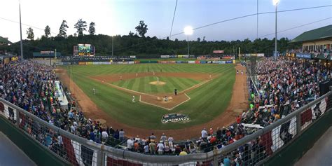 Tennessee Smokies Reach Ownership Milestone | MiLB.com