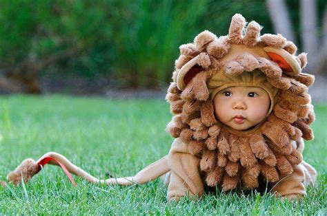 Unisex Baby Lion Costume » Petagadget