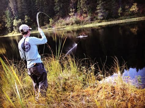 Kootenai River Fly Fishing Report - Kootenai Canyon Anglers