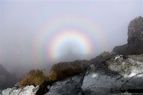 Brocken spectre (mountain spectre) and glory | photography, photo gallery