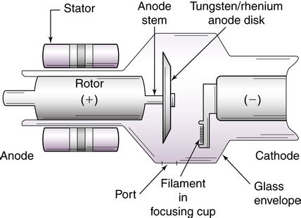 The X-ray Beam | Radiology Key