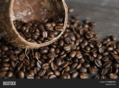 Roasted Arabica Coffee Image & Photo (Free Trial) | Bigstock