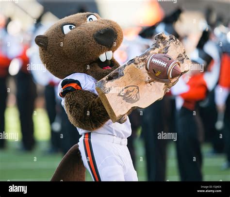 September 19, 2015: Oregon State Beavers mascot Benny the Beaver prior to the NCAA Football game ...