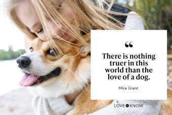 35+ Pet Love Quotes That Speak to Your Special Bond | LoveToKnow Pets