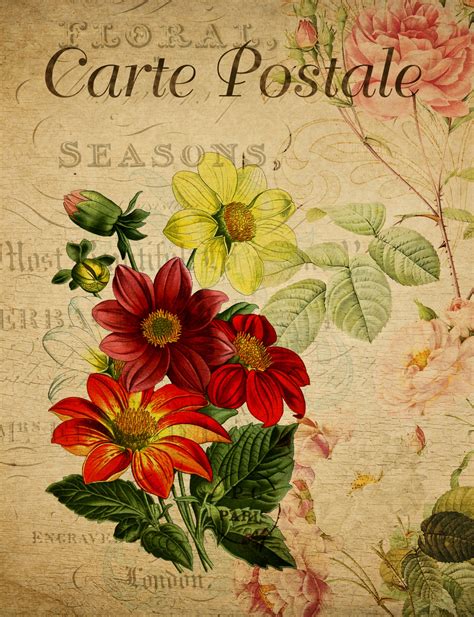 Flowers Vintage French Postcard Free Stock Photo - Public Domain Pictures