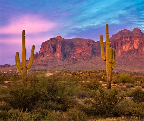 Lista 92+ Foto Como Es El Desierto De Sonora Mirada Tensa