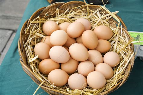 Organic eggs - Stock Image - H110/4255 - Science Photo Library