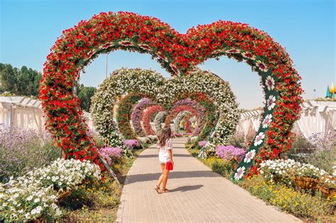 The Dubai Miracle Garden- why you must visit