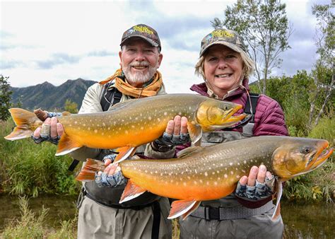 Alaska Fishing Season Chart: Bristol Bay Alaska Trout & Salmon Fishing Seasons