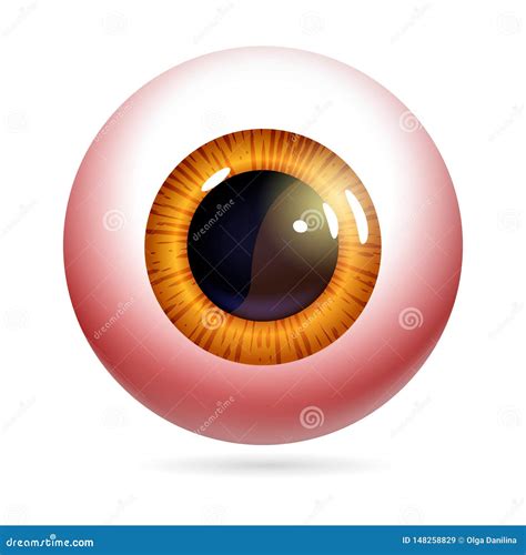 Red eyeball vector stock vector. Illustration of medical - 148258829