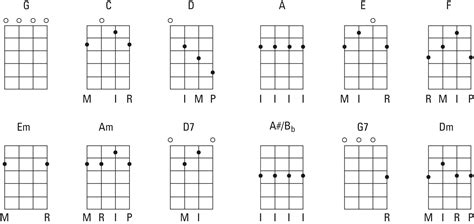 Learn Basic Banjo Chords - Bailey and Banjo