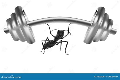 Ant Power Strong Insect Lift Heavy Weight Stock Photos - Image: 15003293