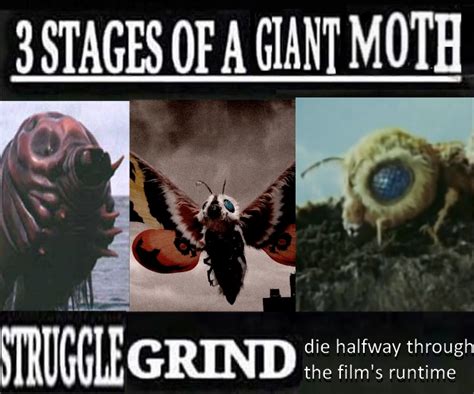 mothra_irl : r/GODZILLA