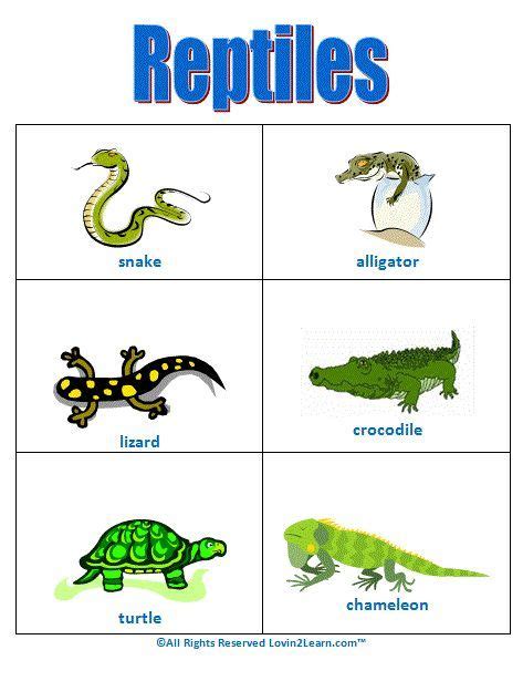 Reptiles Chart www.loving2learn.com | Reptiles activities, Reptiles ...