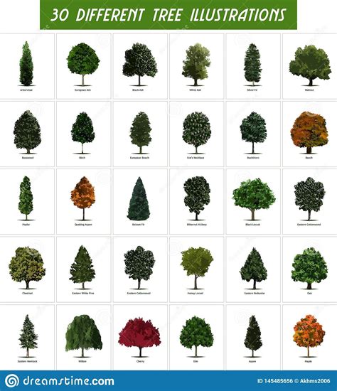 Illustration about Beautiful Digital image of 30 Different Tree types Illustrations with its ...