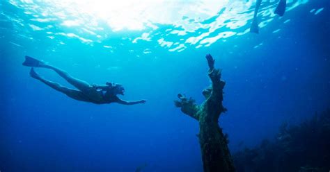 The Florida Keys: John Pennekamp Coral Reef State Park, Key Largo