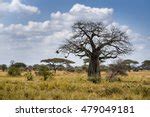 Antilope Free Stock Photo - Public Domain Pictures