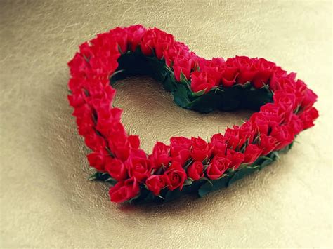 All new wallpaper : Red roses heart shape computer wallpaper Free