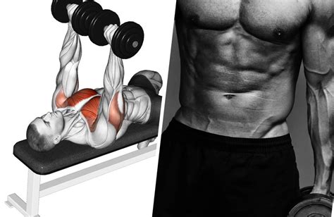 Build Chest Muscles With This Five Moves Dumbbell Chest Workout