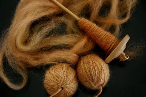 Spinning Wool: About the Art of Handspinning - RaisingSheep.net