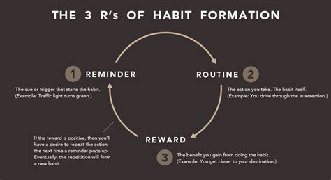 Psychological Research On Habit Formation - Youth Incorporated