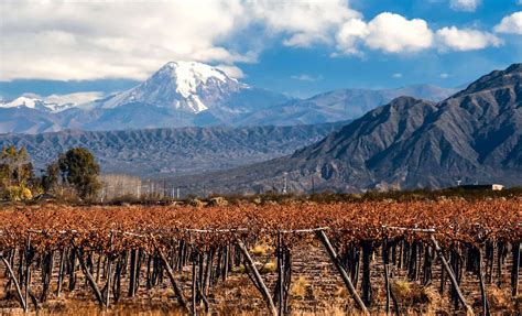 Que hacer en Mendoza: 10 Actividades Imperdibles