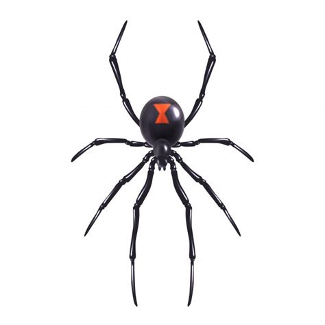 Scary Spider Drawing | Free download on ClipArtMag