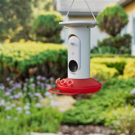 Bird Buddy's new smart hummingbird feeder can photograph and identify ...