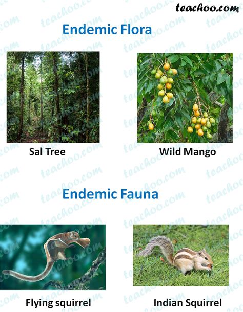 Endemic Species - Definition & Examples found India - Teachoo