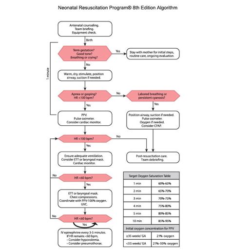 Nrp Resuscitation Flow Diagram 7th Edition Nrp 7th Edition F