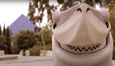 Meet Elbee: Toothy new mascot unveiled at Cal State Long Beach – Press ...