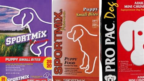 FDA expands pet food recall after 70 dogs die from eating it – WPXI