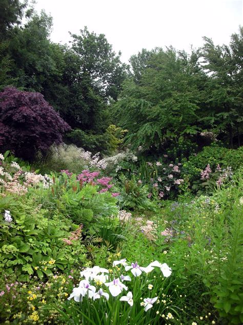 Plymouth Daily Photo: Wildside Garden, Buckland Monachorum, Devon (1)