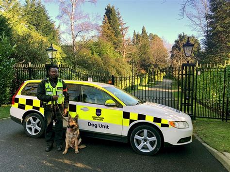 Security Dogs Patrol London - Security Risk Specialists