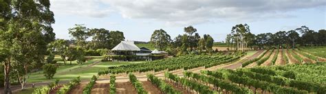 Vasse Felix Winery Tours and Experiences