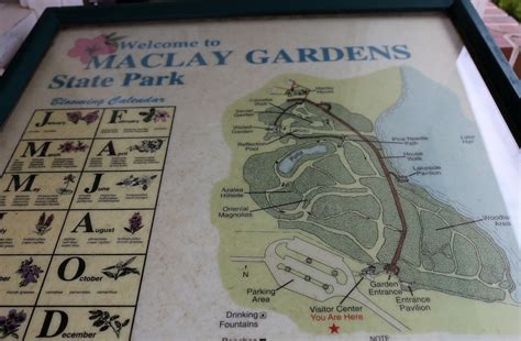 Sweet Southern Days: Maclay Gardens in Tallahassee, Florida